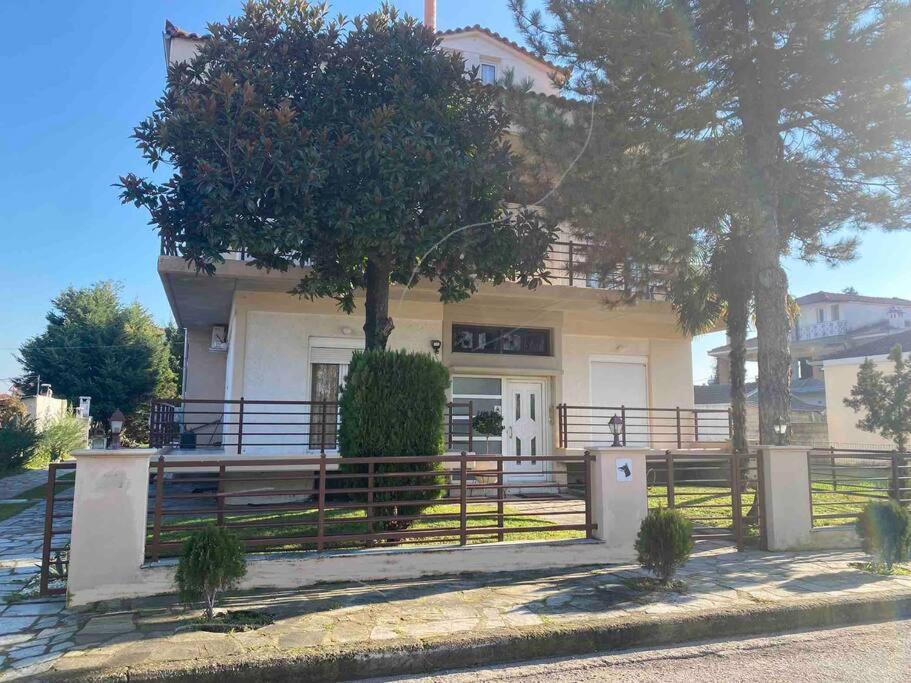 Family'S Home Trikala Екстериор снимка